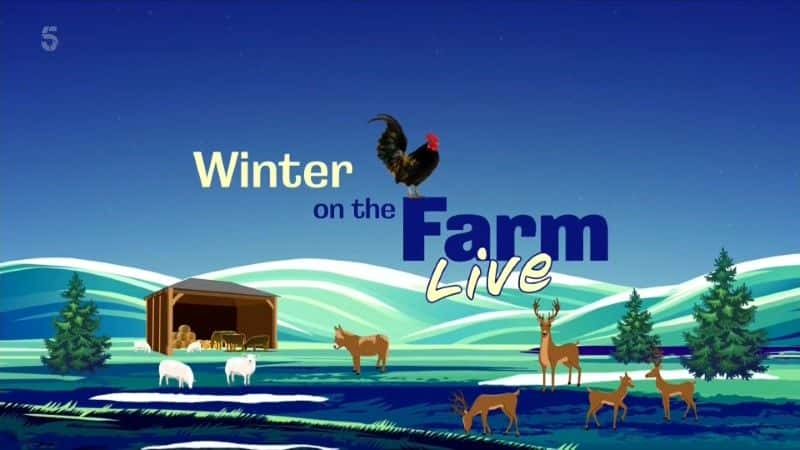 ¼Ƭ2022 ũ Winter on the Farm 20221080Pȫ4-Ļ/Ļ