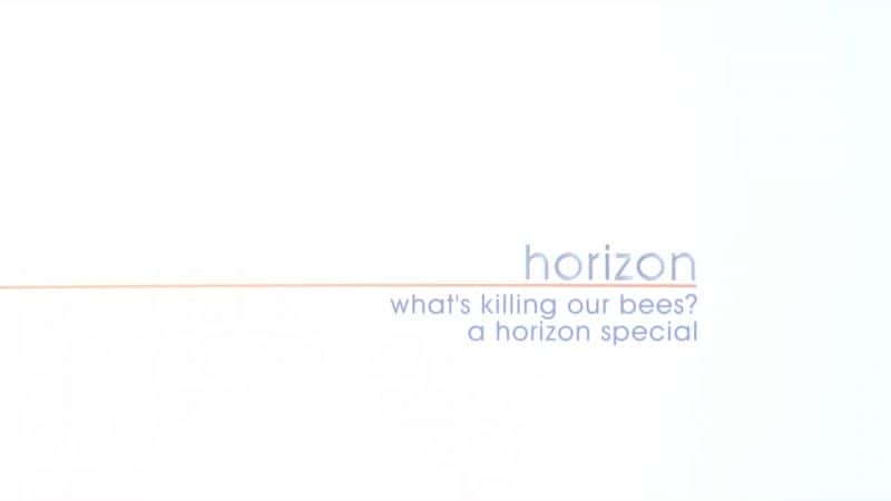 ¼Ƭʲôɱǵ۷ What's Killing Our BeesĻ/Ļ