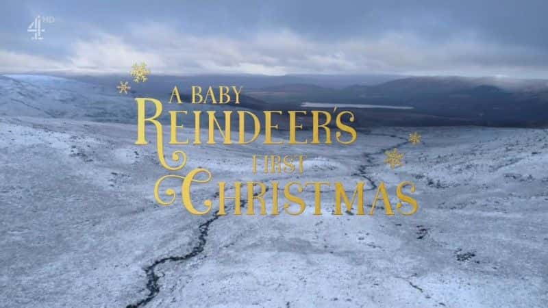 ¼ƬСѱ¹ĵһʥ A Baby Reindeer's First Christmas1080Pȫ1-Ļ/Ļ