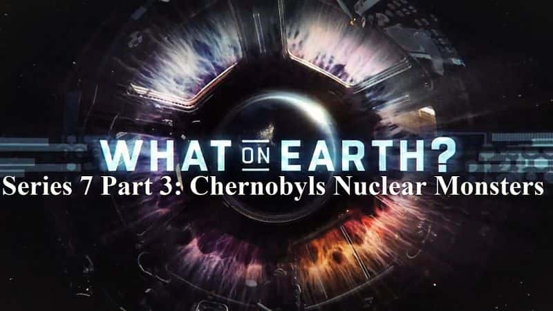 ¼Ƭô£ϵ 7  3  жŵ˹ What on Earth? Series 7 Part 3 Chernobyls Nuclear Monsters1080P-Ļ/Ļ