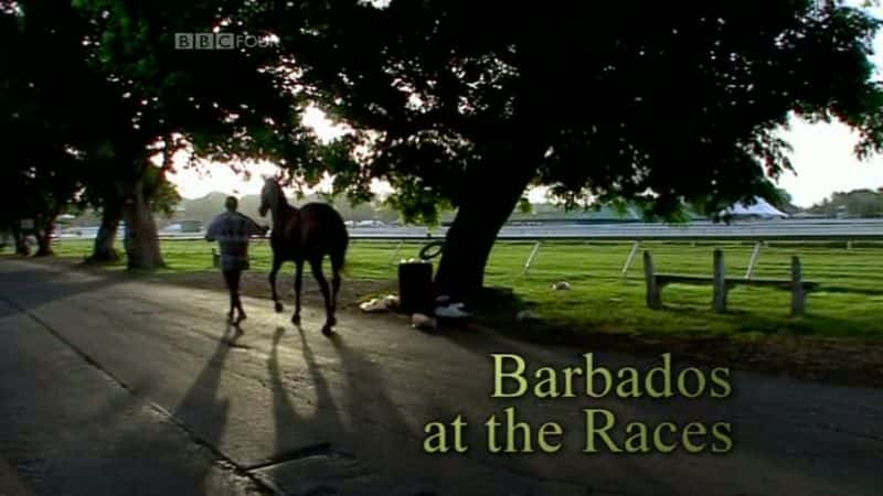 ¼ƬͰͶ˹ Barbados at the RacesĻ/Ļ