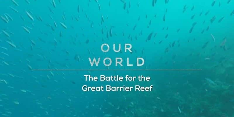 ¼Ƭ󱤽֮ս The Battle for the Great Barrier ReefĻ/Ļ