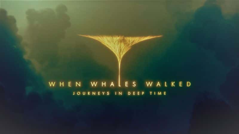 纪录片《当鲸鱼行走时：深时之旅 When Whales Walked: Journeys in Deep Time》[无字][BT][1080P]资源下载