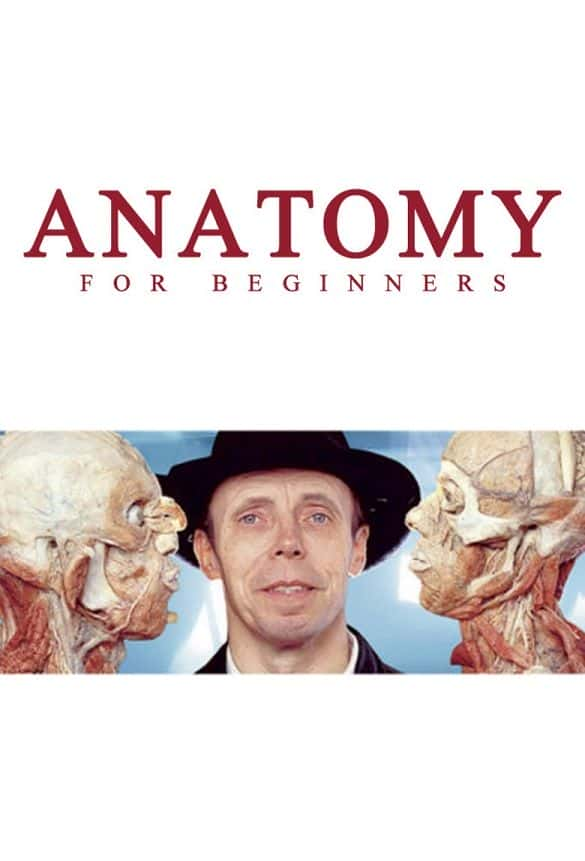 ¼Ƭѧ߽ѧ Anatomy for BeginnersĻ/Ļ