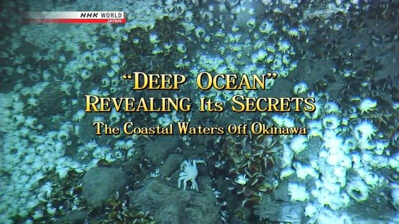 ¼Ƭʾ Deep Ocean: Revealing its Secretsȫ1-Ļ/Ļ