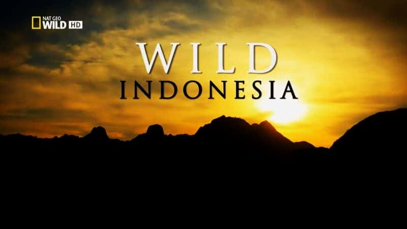 ¼ƬҰĿĵأӡ Destination Wild: IndonesiaĻ/Ļ