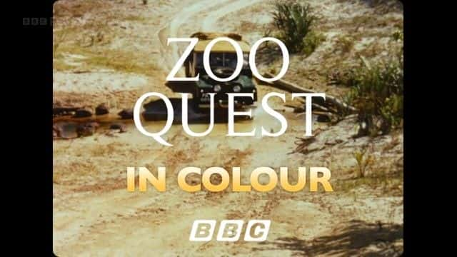 ¼ƬյĲɫ԰֮ (BBC) David Attenborough's Zoo Quest in Colour (BBC)1080Pȫ1-Ļ/Ļ