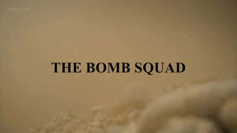 纪录片《拆弹小队 The Bomb Squad》全2集[军事纪录片][无字幕][高清][MP4][BT][资源下载]