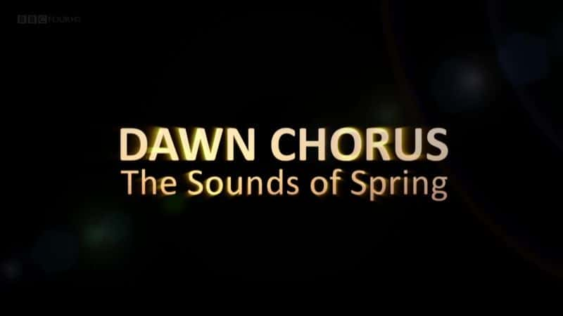 纪录片《黎明合唱团（BBC） Dawn Chorus (BBC)》[无字][BT][1080P]资源下载