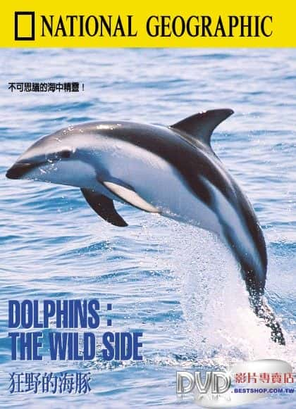 ¼ƬࣺҰһ Dolphins: The Wild SideĻ/Ļ