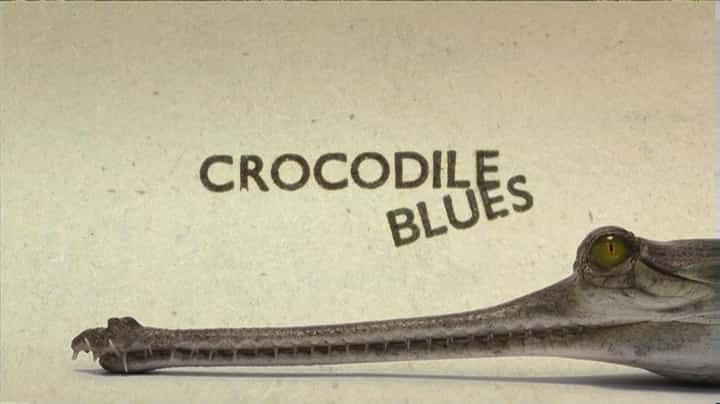 ¼Ƭ Crocodile BluesĻ/Ļ