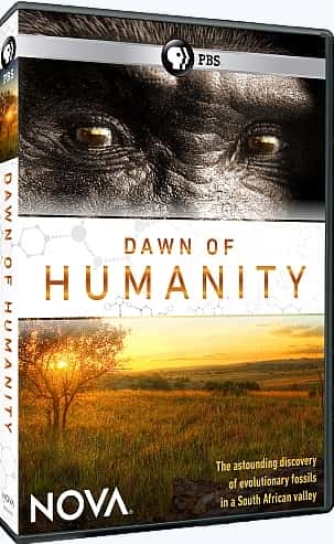 ¼Ƭ Dawn of HumanityĻ/Ļ