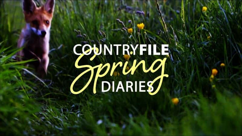 ¼Ƭ嵵ռ Countryfile: Spring Diaries1280P-Ļ/Ļ