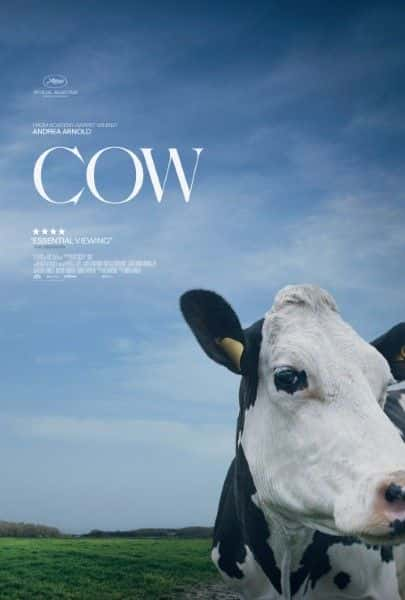 ¼Ƭţ 2021 Cow 20211080Pȫ1-Ļ/Ļ