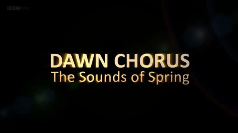 ¼Ƭϳţ (BBC) Dawn Chorus: The Sounds of Spring (BBC)2560Pȫ1-Ļ/Ļ