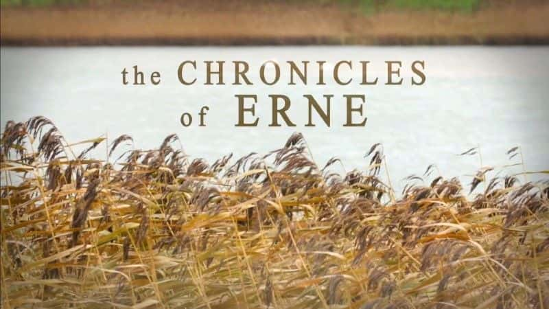 ¼Ƭʷϵ 1 The Chronicles of Erne Series 11080Pȫ1-Ļ/Ļ