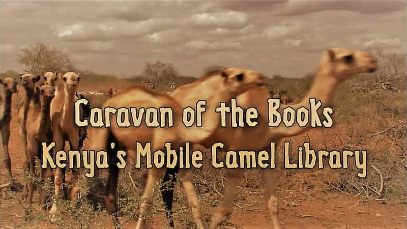 ¼Ƭ鼮񳵣ǵƶͼ Caravan of the Books: Kenya's Mobile Camel Library1080P-Ļ/Ļ