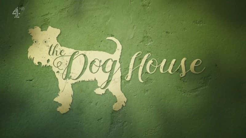 ¼Ƭϵ 1 The Dog House Series 11080Pȫ8-Ļ/Ļ