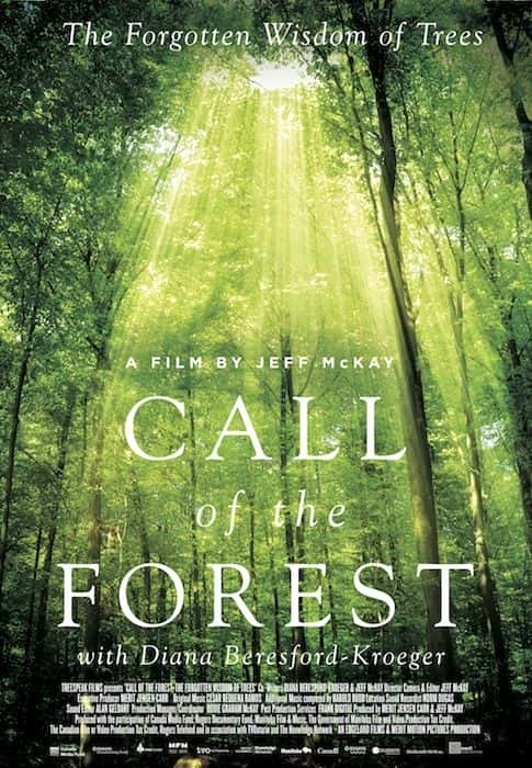 ¼Ƭɭֵĺ Call of the ForestĻ/Ļ