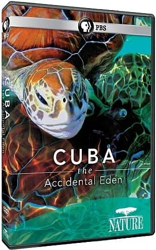 ¼ƬŰͣ԰ Cuba: The Accidental EdenĻ/Ļ