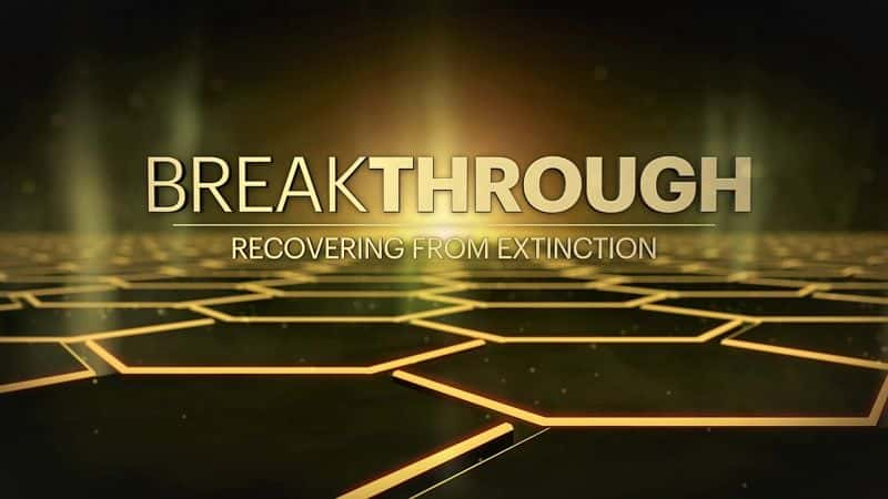 ¼Ƭͻƣлָ Breakthrough: Recovering from Extinction1080P-Ļ/Ļ