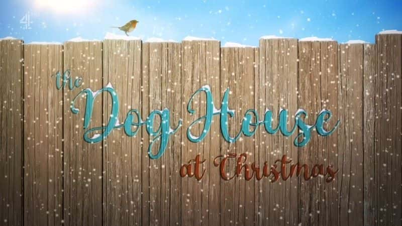 ¼Ƭ2021 ʥڹ The Dog House at Christmas 20211080Pȫ1-Ļ/Ļ