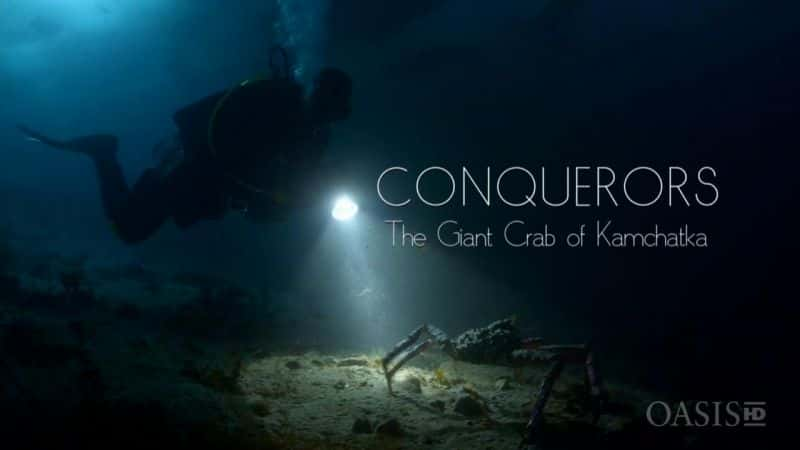 ¼Ƭ ConquerorsĻ/Ļ