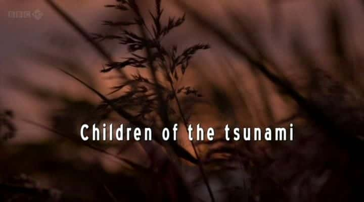 ¼ƬХĺ Children of the TsunamiĻ/Ļ