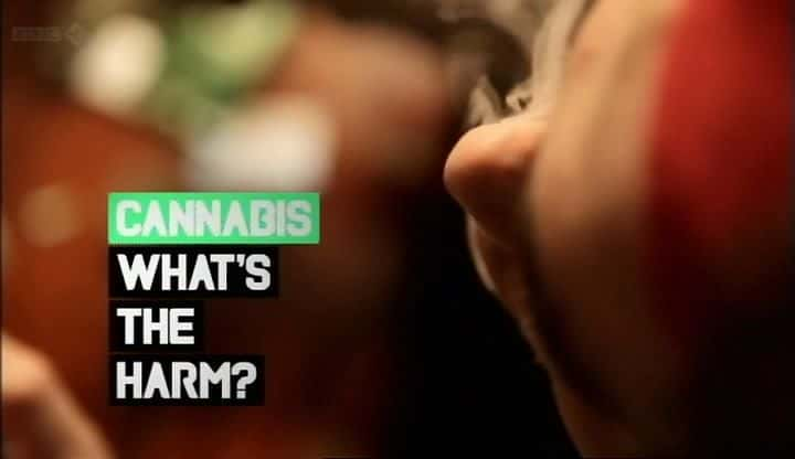 ¼Ƭ飺ʲôΣ Cannabis: What's the Harmȫ2-Ļ/Ļ