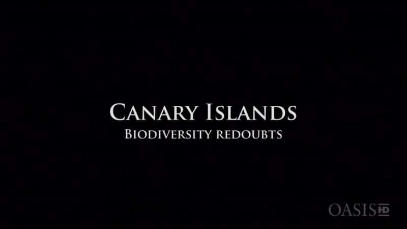 ¼ƬȺԱ Canary Islands: Biodiversity RedoubtsĻ/Ļ