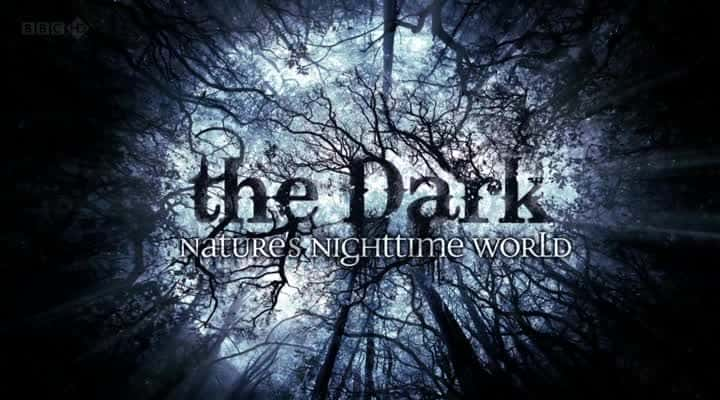 ¼ƬڰȻҹ The Dark: Natures Nighttime WorldĻ/Ļ