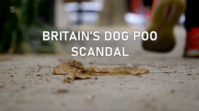 ¼ƬӢ Britain's Dog Poo Scandal1080Pȫ1-Ļ/Ļ