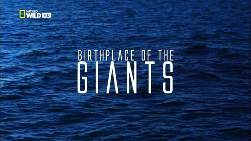 ¼Ƭ˵ĵ Birthplace of the GiantsĻ/Ļ