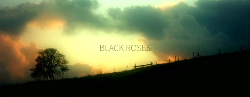 ¼Ƭõ壺շơ˹֮ɱ Black Roses: The Killing of Sophie LancasterĻ/Ļ