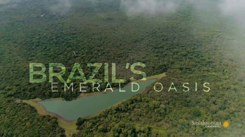 ¼Ƭ Brazil's Emerald Oasis1080Pȫ1-Ļ/Ļ