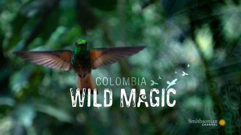 纪录片《哥伦比亚：狂野魔法 Colombia: Wild Magic》全1集[自然纪录片][无字幕][高清][MKV][BT][资源下载]