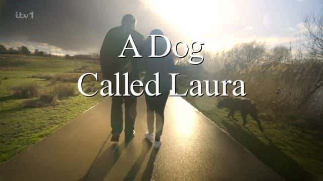 ¼ƬһֻĹ A Dog Called Laura1080Pȫ1-Ļ/Ļ