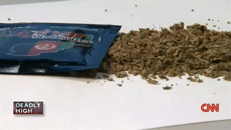 ¼ƬĶƷϳɶƷɱͯ Deadly High: How Synthetic Drugs are Killing KidsĻ/Ļ