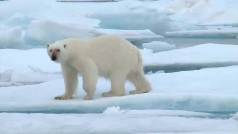 ¼Ƭĺ Children of the ColdĻ/Ļ