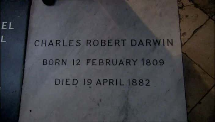 ¼ƬĵΣ뷨 Darwin's Dangerous Idea720P-Ļ/Ļ