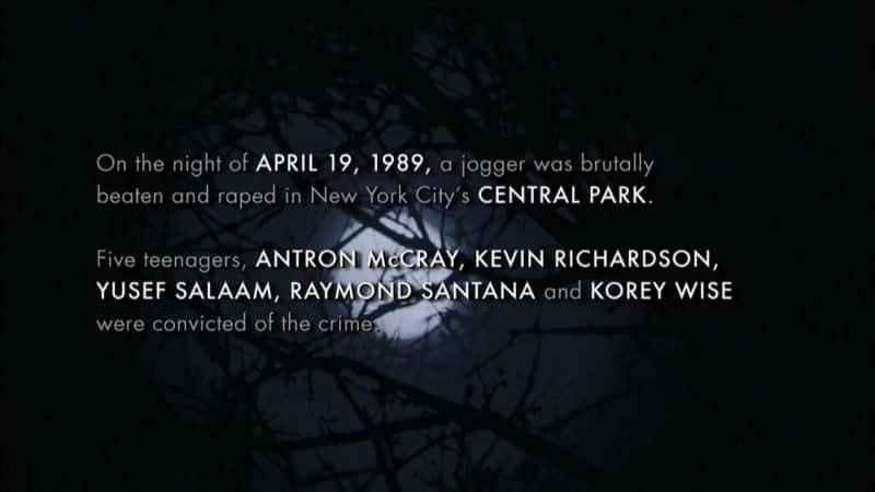 ¼Ƭ빫԰飨⣩ The Central Park Five (Bluray)Ļ/Ļ