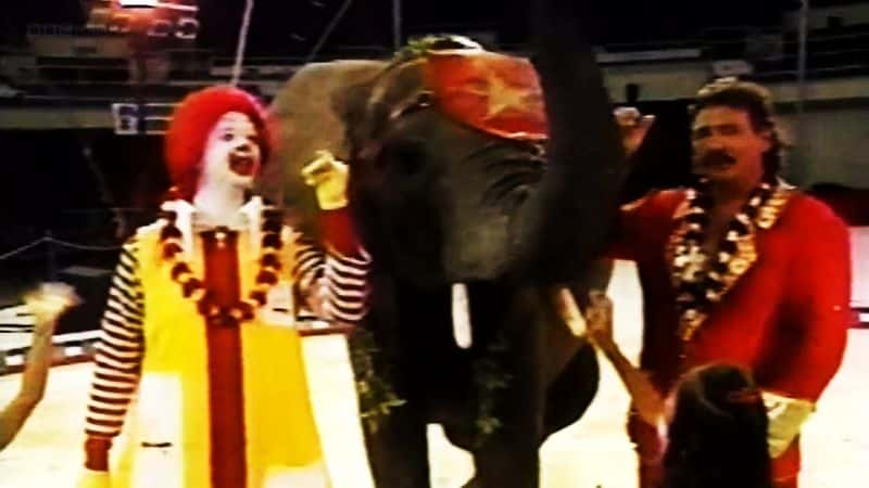 ¼ƬϷŴֱײ Circus Elephant RampageĻ/Ļ