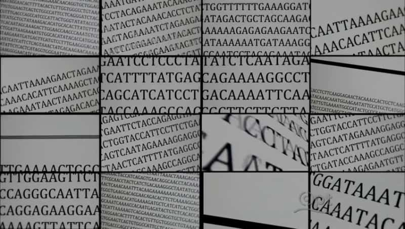 ¼Ƭᰲ Decoding NeanderthalsĻ/Ļ