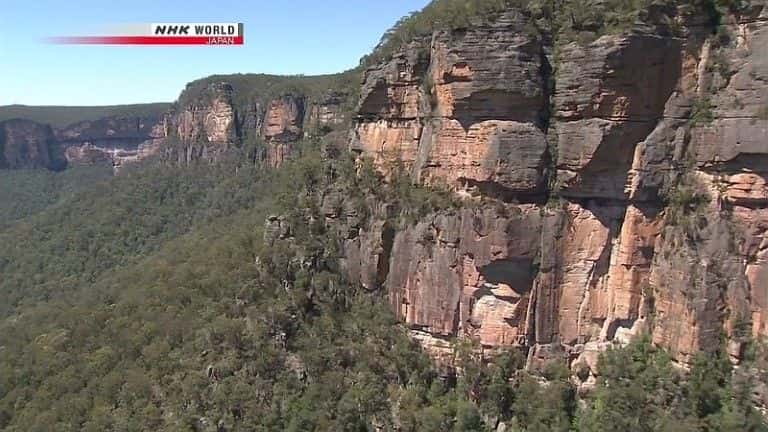 ¼Ƭʿɽ The Blue Mountains of New South Walesȫ1-Ļ/Ļ