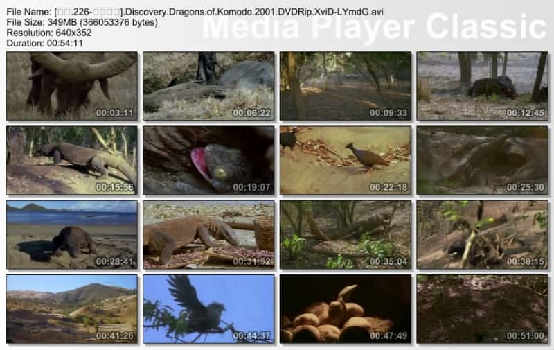 ¼ƬĪ Dragons of Komodoȫ1-Ļ/Ļ