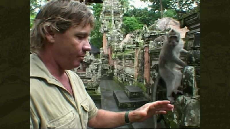 ¼Ƭ - ʷٷŷľѡ Crocodile Hunter - The Best of Steve Irwin1080P-Ļ/Ļ