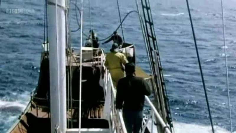 纪录片《英国鲸鱼猎人：不为人知的故事 Britains Whale Hunters: The Untold Story》[无字][BT][720P][1080P]双画质资源下载