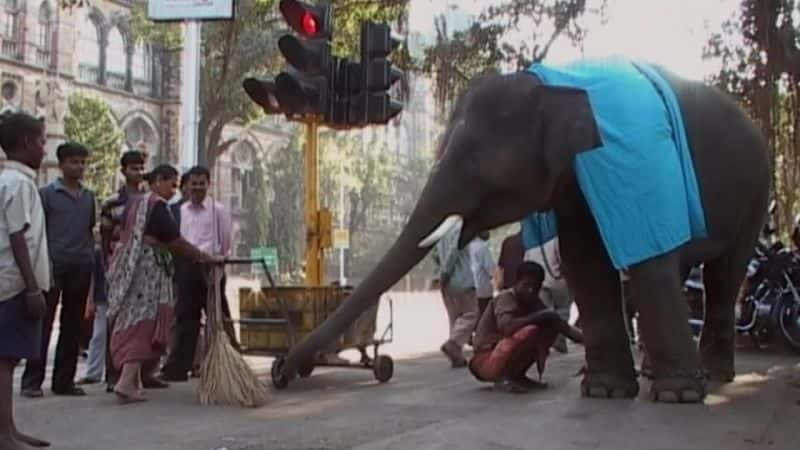 ¼Ƭ· (BBC) Bombay Railway (BBC)Ļ/Ļ