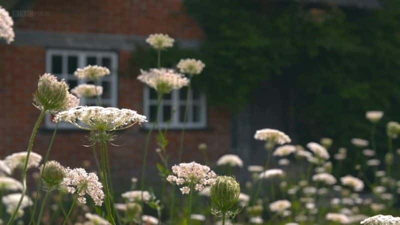 ¼Ƭ˹˺ķԶ Chris Packham: Forever Punk1080P-Ļ/Ļ