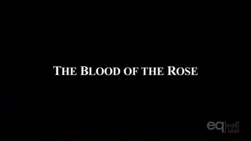 ¼Ƭõ֮Ѫ The Blood of the RoseĻ/Ļ